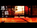 【まだ猫は逃げますか？】＃１　猫は、見知らぬ家で目をさます