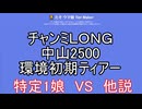 チャンミＬＯＮＧ中山2500環境初期ティアーｗ