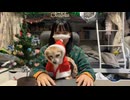 加瀬ちゃんのクリスマス本番2025