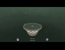 Viridi