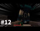 【Minecraft】元1.12.2永住民が　最新バージョン生活　パート１２【マインクラフト実況】