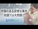 中国 乳児が心臓手術で死亡 背景に潜む衝撃の真相【時事ノイズカット】