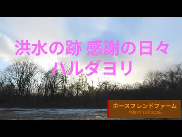 洪水の跡　感謝の日々　ハルダヨリ