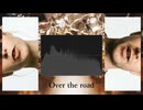 Over the road(House Remix)/screamed only