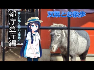 双葉とお散歩－都庁登庁編