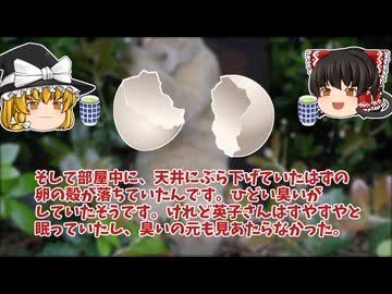 【怖い話】卵の中【ゆっくり解説】34