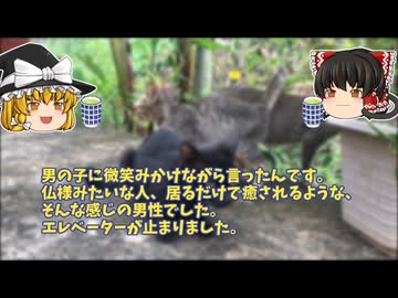 【怖い話】庭で柴犬を飼っていた【ゆっくり解説】35