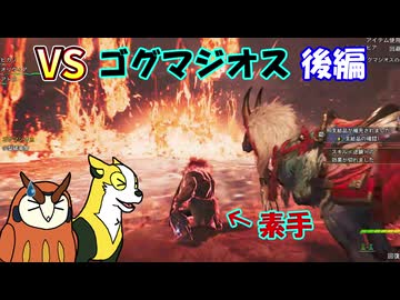 【MHWilds】カムラオトモたちの禁足地狩猟記 PART12（後編）【ゆっくり実況】