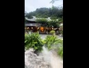 トゥタム寺（Tu Tam Pagoda）— 一歩足を踏み入れるだけで、心が静まる場所。