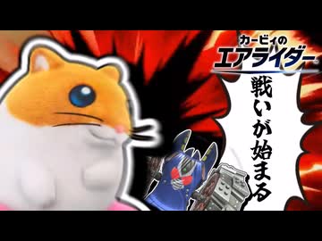 運　命　の　ゲ　イ　ト　問　い　か　け　て　い　る【カービィのエアライダー】