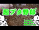 超ブタ野郎10分耐久