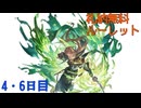 【グラブル】札納(ふだおさめ)無料ルーレット【4・6日目】
