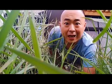 俺にはダウンドンしかないんですよ