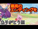 シティトライアルのチェッカーを埋めるメスガキ【カービィのエアライダー】