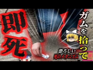 『ガムを拾おうとして即死』ポケットから落ちたガムを拾った男性が突然即死…解剖の結果、原因が12時間の連続ゲームプレイと血栓にあると判明し‥･『エコノミークラス症候群の恐怖』【ゆっくり解説】