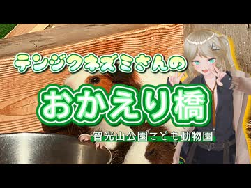 【ソフトウェアトーク劇場】テンジクネズミさんのおかえり橋【春日部つむぎ】