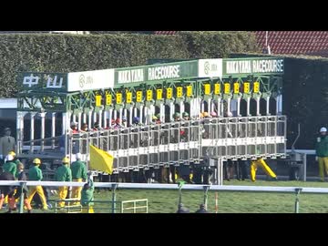 【2025年最後のGI。】第70回有馬記念 2025.12.28