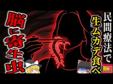 【2012】「ムカデの踊り食いは健康にいいんだよ』迷信を妄信した親子がムカデを生食した結果、脳が寄生虫に侵され…『広東住血吸虫感染事故』【ゆっくり解説】