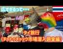 【世界一広い？！】チャトチャックマーケット巡り！これはもはやバンコクの迷宮…タイ旅行 #7