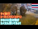 【東南アジア最大級水族館】シーライフバンコクオーシャンワールドへ！《前編》サイアムパラゴンにある水族館を体験♪タイのバンコクに来たならここにくる価値あり！お子様連れにも最適な場所＠サイアム駅 #15