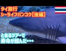 【恐怖のアクティビティ】シーライフバンコクオーシャンワールド《後編》いろんなアクティビティで遊んだよ！サメプール、餌やり、バックオフィス見学などなど♪子供が楽しめる体験がたくさん！タイ旅行 #16