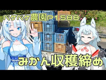 2025年12月28日　農作業日誌P1588　本年最後の出稼ぎが完了したよ