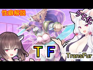 性癖解説～TF～ケモ化
