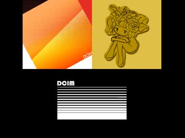 DCIM / 知声