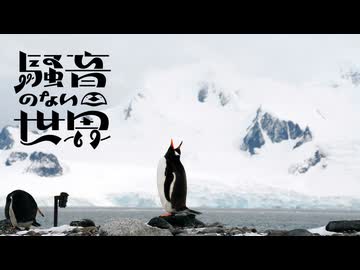 [Music] フリッパーズ - 騒音のない世界