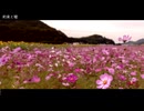 【ソムリエが】約束と嘘【歌い直してみた】
