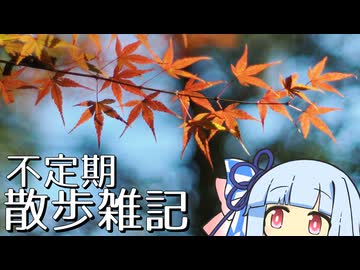 不定期散歩雑記_82 - 紅葉の立久恵峡2025