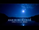 【音散歩】高知県 夜の海と秋の虫の音｜月明かりの入江 環境音