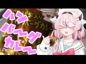 ヒメミコレポート～飛騨牛入りハンバーグカレー～