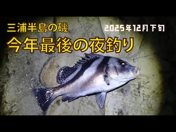 三浦半島　今年最後の夜釣り　今年13回目の釣行　2025年 12月下旬