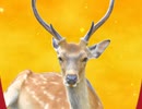 奈良公園の鹿です。Feat.Ryo