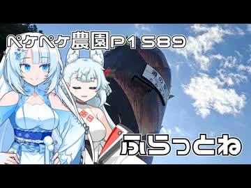 2025年12月29日　農作業日誌P1589　スクーターの充電がてらにちょっと内船寺へと立ち寄ってみるよ