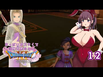 【ドラゴンクエスト11S】おっぱいが大きくて淫夢要素のないドラクエ11Sその12