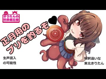 きりたんの釣果備忘録 2025　正月用のブリを釣るぞ□