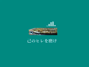 もう淡水魚だけで曲作れるから
