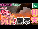 【本物】パキスタン・ケウラ鉱山のピンクソルトがヤバすぎた！#48