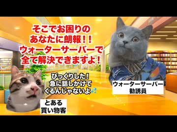 【ウォーターサーバー】「本体無料」で被害者多数！？解約者続出のヤバすぎるサブスクサービスの実態 #猫マニ #猫ミーム