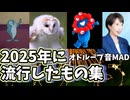 2025年に流行ったネタ集！withオドループ音MAD！【Minecraft】