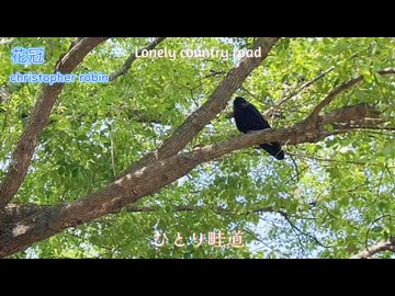 The Path of 2025 / よみかき算数、ぼくは空想