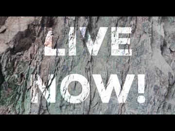 LIVE NOW!