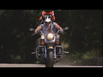 あぁん!?珍客さん!?