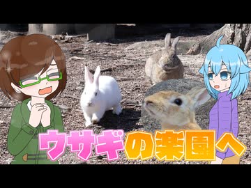 【新18きっぷ活用旅 山陽編】#5 ウサギと毒ガスの島、大久野島 ～上陸＆ツツカノ編