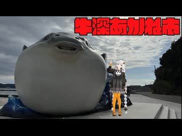 [紲星あかり車載]初心者バイク紀行　牛深あかね市