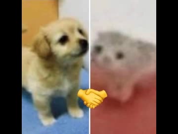 よいお年を