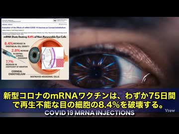 ファイザーのmRNAワクチンを接種した健康な若者64人を対象に行われた研究で、何と角膜の非再生細胞が75日間で8.4%も破壊されていた‼️　角膜内皮細胞っといって、一度壊れたらもう元に戻らない細胞です