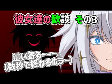 【ソフトウェアトーク劇場】彼女達の歓談 その3